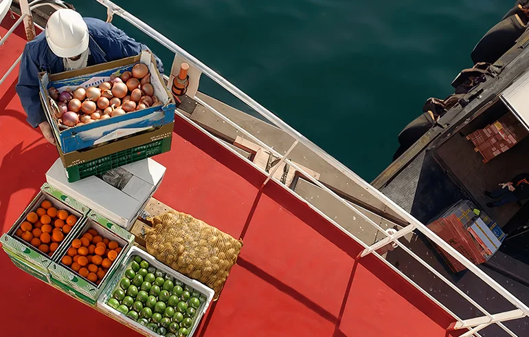 Ship Catering/Provision Supply & Management